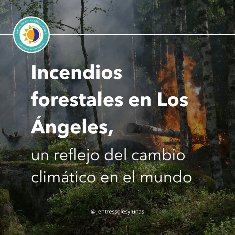 Incendios forestales en Los Ángeles, un reflejo del cambio climático en el mundo